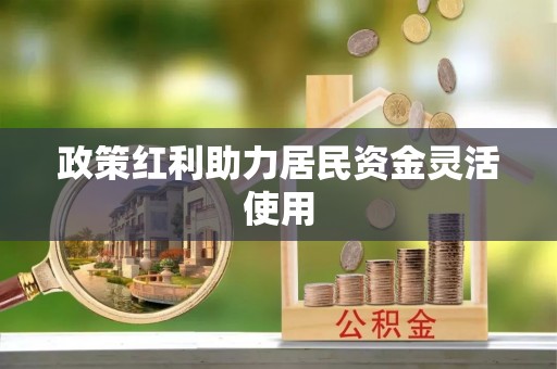 桑日政策红利助力居民资金灵活使用