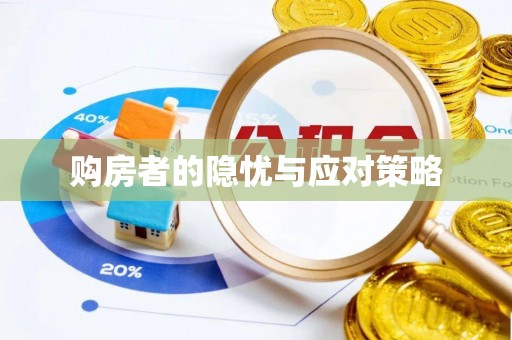 桑日购房者的隐忧与应对策略