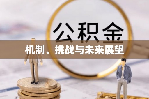 桑日机制、挑战与未来展望