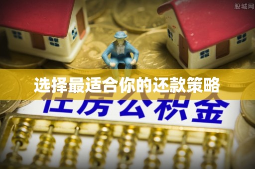 桑日选择最适合你的还款策略