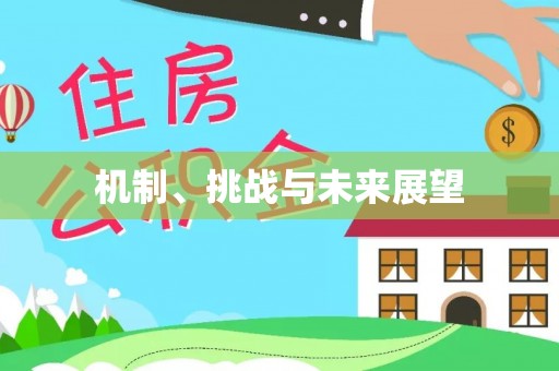 桑日机制、挑战与未来展望
