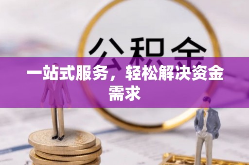 桑日一站式服务，轻松解决资金需求