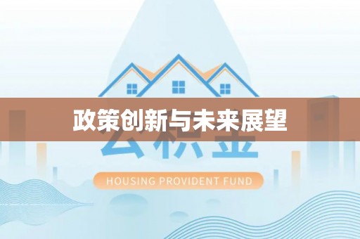桑日政策创新与未来展望