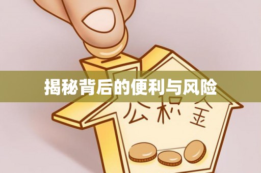 桑日揭秘背后的便利与风险