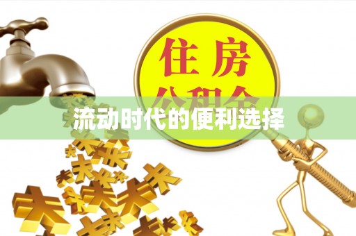 桑日流动时代的便利选择